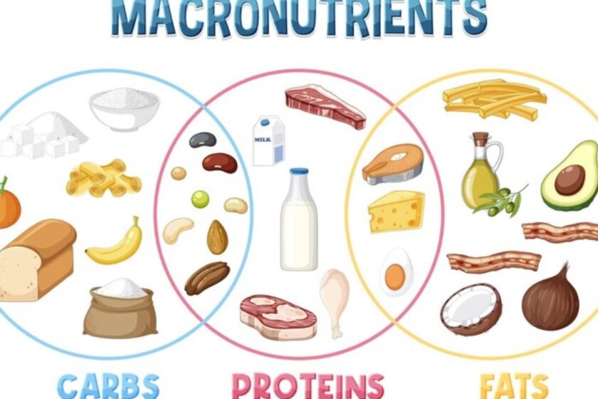 Understanding Macronutrients: Carbs, Proteins, And Fats Explained