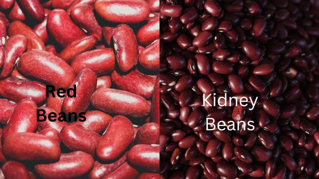 Are Red Beans And Kidney Beans The Same: See the Differences