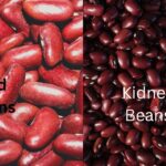 Are Red Beans And Kidney Beans The Same?