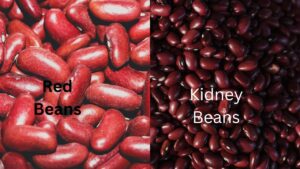 Are Red Beans And Kidney Beans The Same?