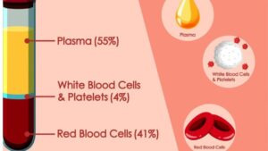 can diabetics donate plasma.