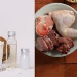 Can you eat coconut on carnivore diet