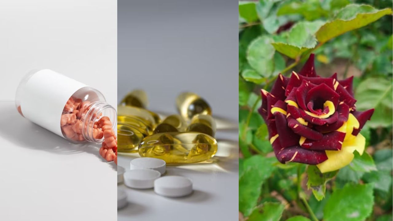 Natural Supplements for Anxiety