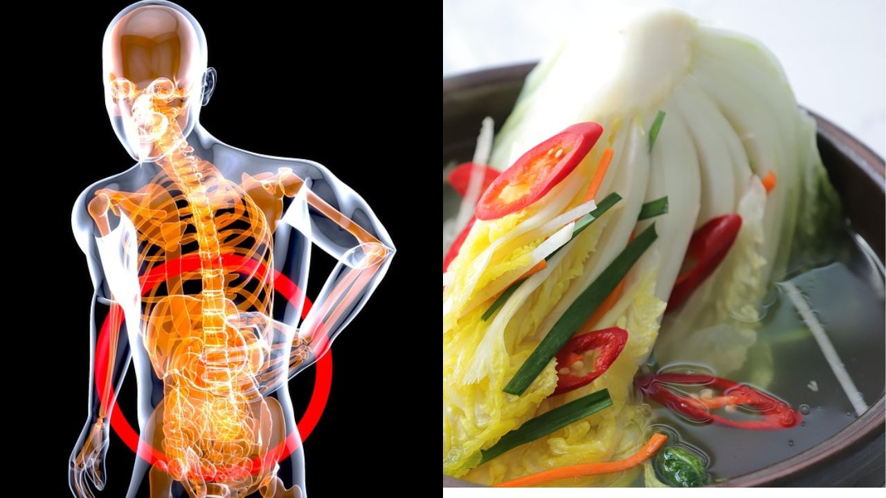 Supplements for Gut Health