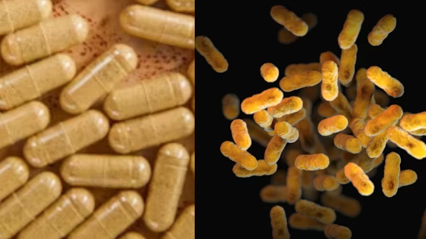 Prebiotics and Probiotics