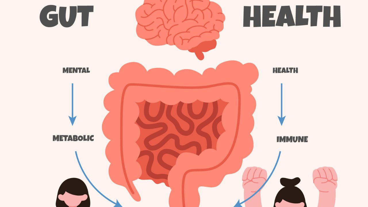 The Gut-Brain Connection